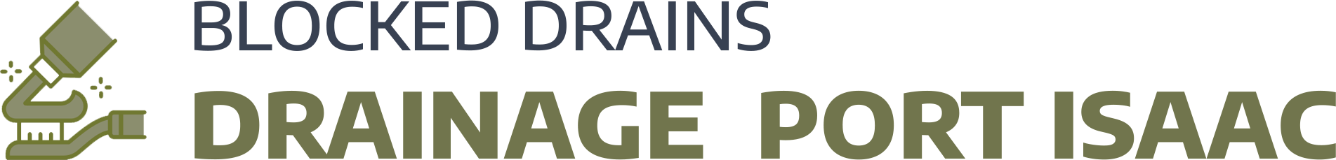 website logo